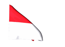 Indonesian Flag